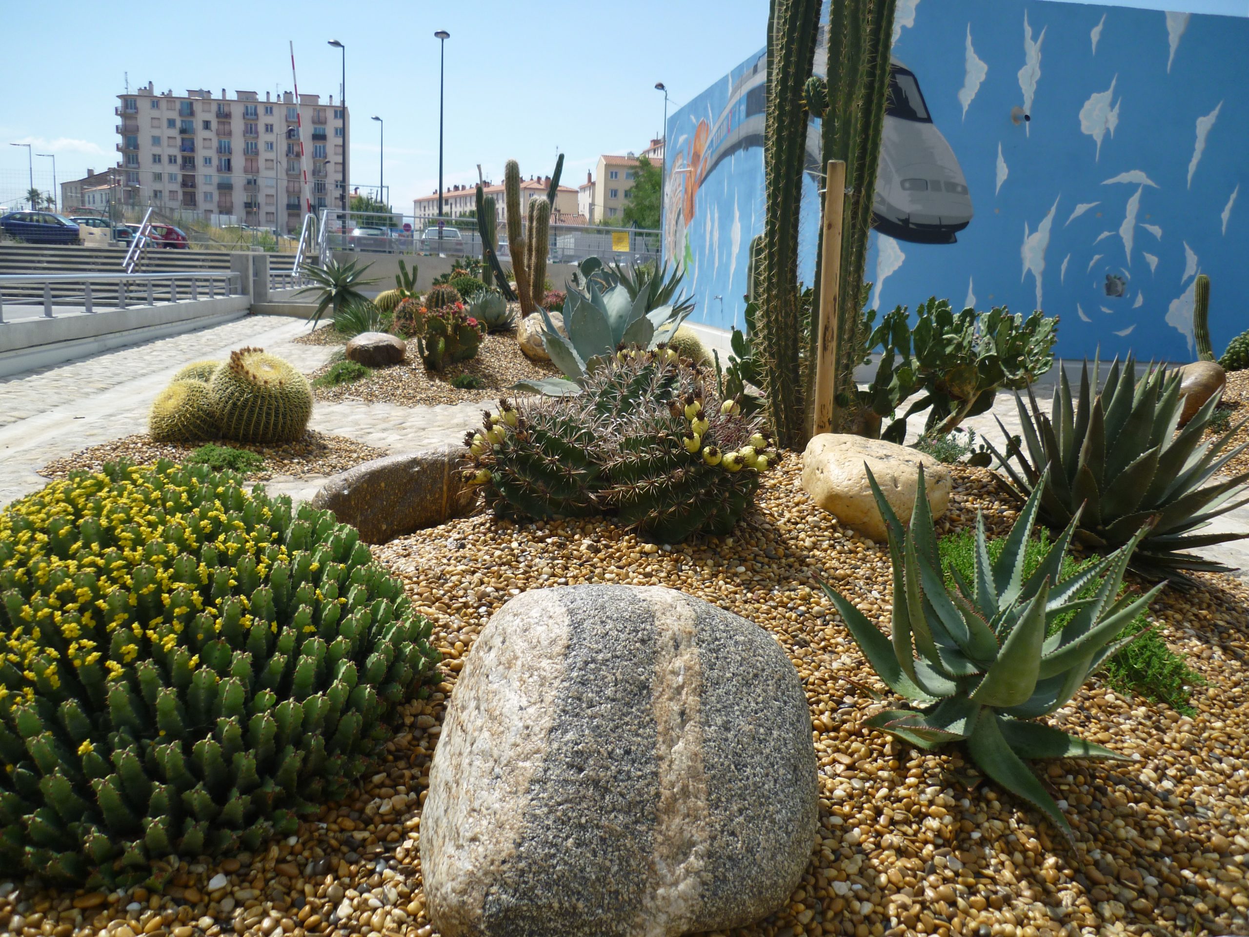Composition paysagère de cactus devant la gare de Perpignan